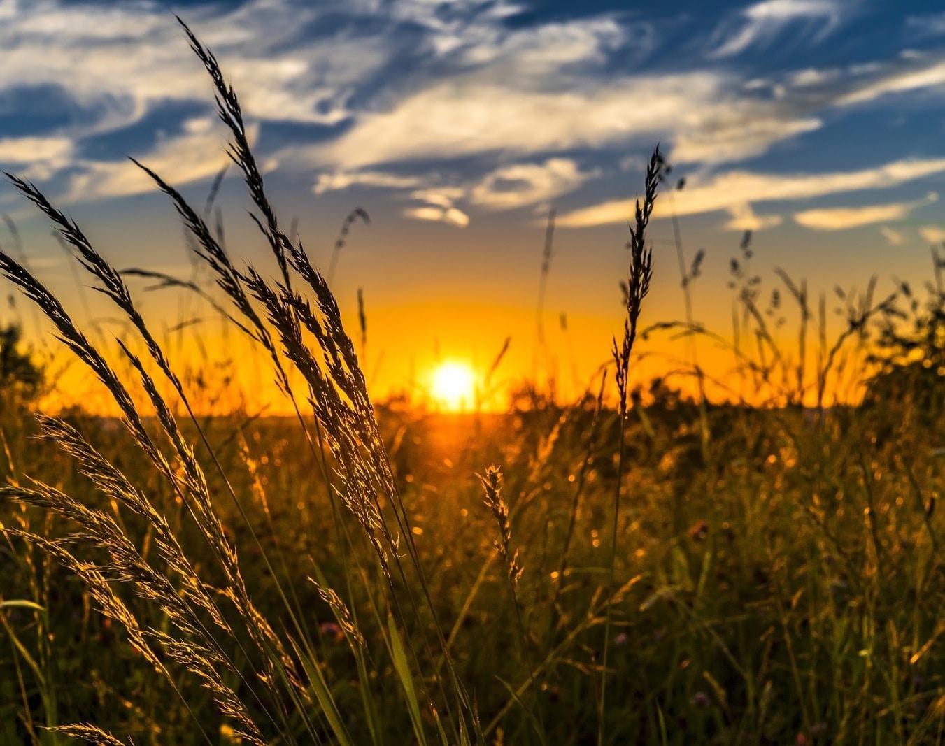 campagne coucher de soleil